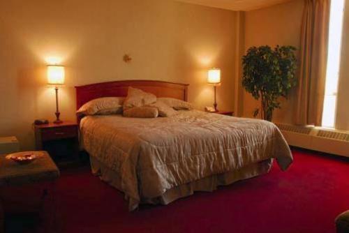 Quality Airport & Conference Centre Hotel